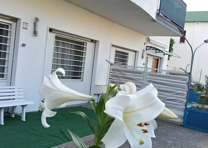 Deliziosa House - 公寓