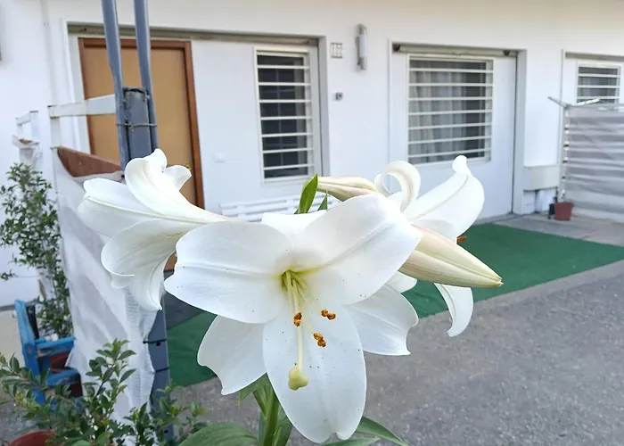 公寓 Deliziosa House - *